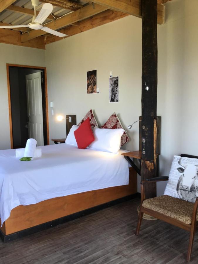 Coram Deo Saltywaves Double En-Suite Rooms With Sea Views Coffee Bay Exterior foto