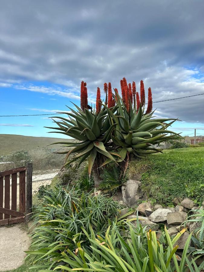 Coram Deo Saltywaves Double En-Suite Rooms With Sea Views Coffee Bay Exterior foto